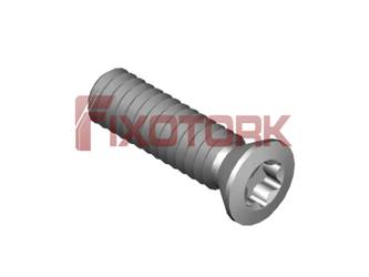 PARAFUSO TORX MOD B 20L70-B3006