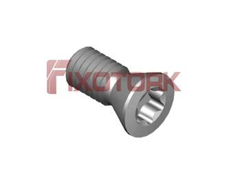 PARAFUSO TORX MOD B 35L80-B5515/24º