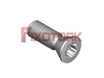PARAFUSO TORX MOD B 35L10-B5515/24
