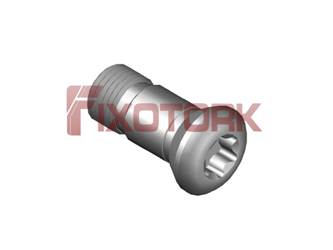 PARAFUSO TORX MOD K 50L12-K7520