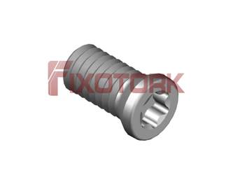 PARAFUSO TORX MOD B 40L80-B5415