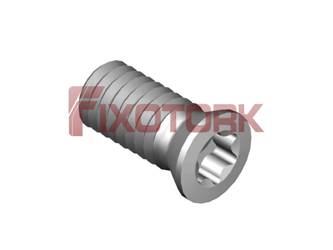 PARAFUSO TORX MOD B 40L85-B5415