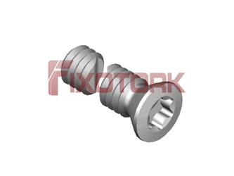 PARAFUSO TORX MOD B 20L12-B3006