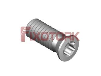 PARAFUSO TORX MOD B 40L10-B5415