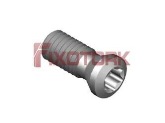 PARAFUSO TORX MOD B 30L65-B4209