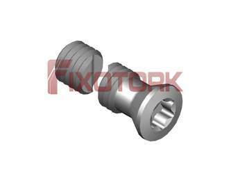 PARAFUSO TORX MOD B 50L18-B6620