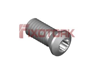 PARAFUSO TORX MOD B 50L12-B7220