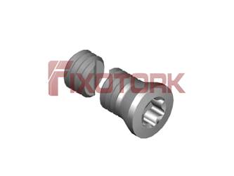 PARAFUSO TORX MOD B 35L15-B5010