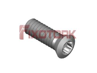 PARAFUSO TORX MOD B 20L60-B3006