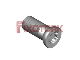 PARAFUSO TORX MOD  AJ 50L12-AJ7425