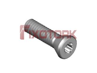 PARAFUSO TORX MOD W 1/8L12-W5510