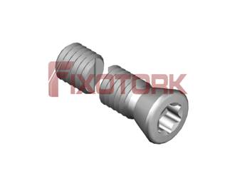 PARAFUSO TORX MOD K 45L28-K6520