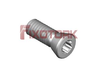PARAFUSO TORX MOD K 45L13-K6920