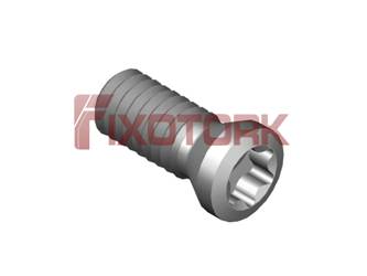 PARAFUSO TORX MOD E 25L63-E3508