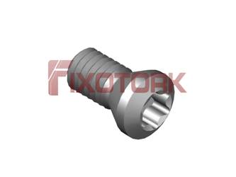 PARAFUSO TORX MOD A 35L75-A5415