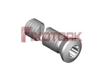 PARAFUSO TORX MOD A 50L22-A6920