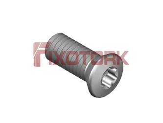 PARAFUSO TORX MOD G 50L12-G7620