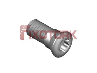 PARAFUSO TORX MOD B 45L11-B6920