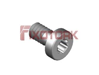 PARAFUSO TORX MOD A 22L46-A3107