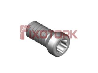 PARAFUSO TORX MOD B 22L53-B3007