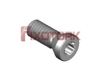 PARAFUSO TORX MOD A 30L80-A4509