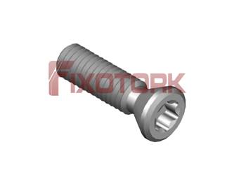 PARAFUSO TORX MOD K 35L13-K5515