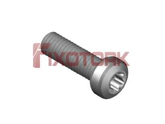 PARAFUSO TORX MOD N 50L19-N8525