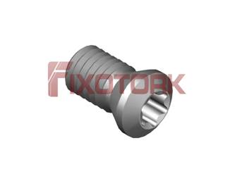 PARAFUSO TORX MOD B 50L10-B6920