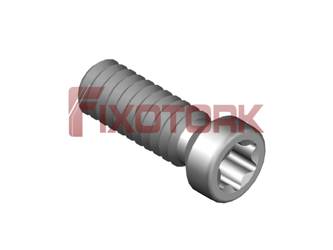 PARAFUSO TORX MOD A 22L70-A3007