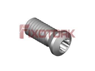 PARAFUSO TORX MOD B 50L12-B6920