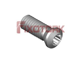 PARAFUSO TORX MOD B 50L14-B6920