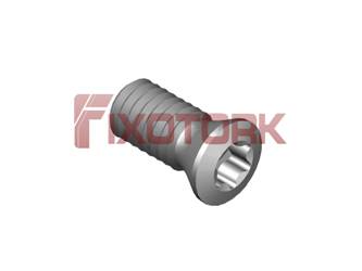 PARAFUSO TORX MOD B 40L85-B5715