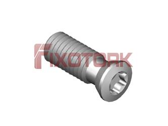 PARAFUSO TORX MOD H 50L14-H6620