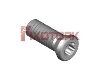 PARAFUSO TORX MOD E 40L11-E5815
