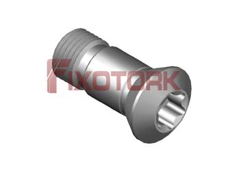 PARAFUSO TORX MOD AM 50L12-AM7520