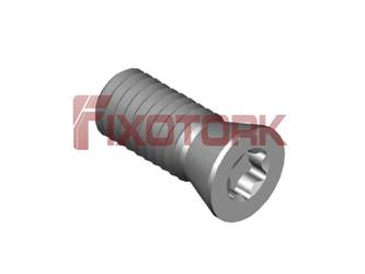 PARAFUSO TORX MOD W 50L12-W6920