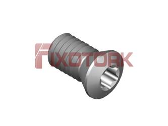 PARAFUSO TORX MOD B 60L12-B8525