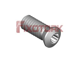 PARAFUSO TORX MOD B 60L15-B8525