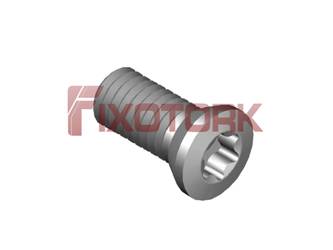 PARAFUSO TORX MOD A 45L11-A7020