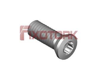 PARAFUSO TORX MOD A 45L13-A7020