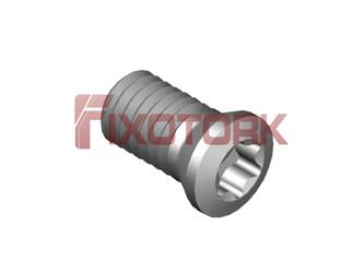 PARAFUSO TORX MOD A 30L55-A4209