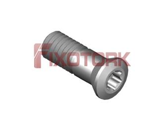 PARAFUSO TORX MOD Z 60L17-Z8725