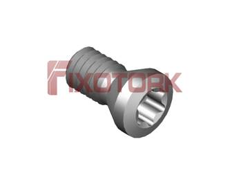 PARAFUSO TORX MOD B 25L55-B3808
