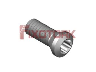 PARAFUSO TORX MOD A 25L65-A3808