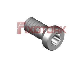 PARAFUSO TORX MOD B 22L55-B3507