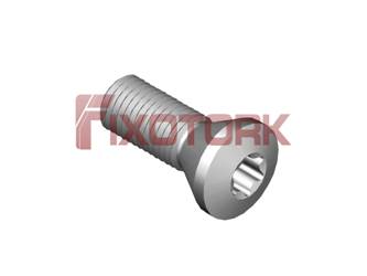 PARAFUSO TORX MOD E 40L14-E6815