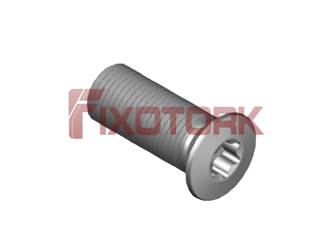 PARAFUSO TORX MOD B 10-32L12-B7115