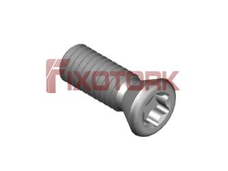 PARAFUSO TORX MOD B 35L10-B5315
