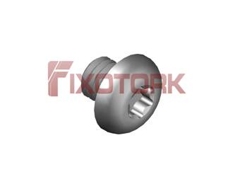 PARAFUSO TORX MOD L 40L61-L7515