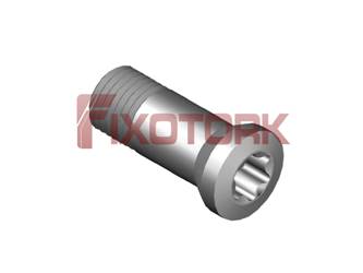 PARAFUSO TORX MOD AM 30L85-AM4208